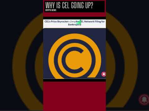 Why CEL’s Price Skyrocketing? | Cryptonews Daily #shorts