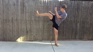 Reverse Side kick Tutorial￼ Profile