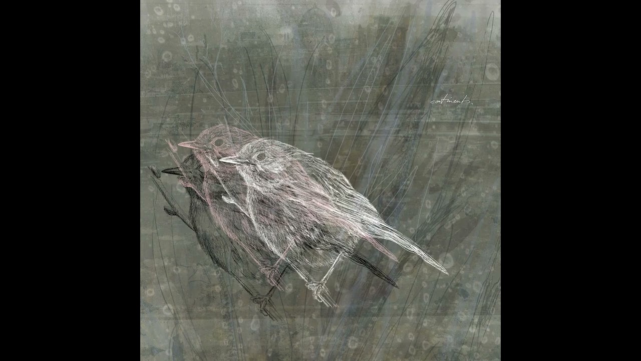 Continents. - ...and silence anchored our feet in granite (2012)