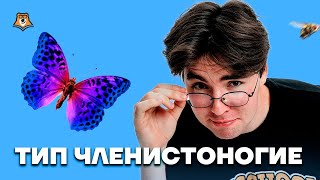 Тип Членистоногие | Биология ОГЭ 2023 | Умскул