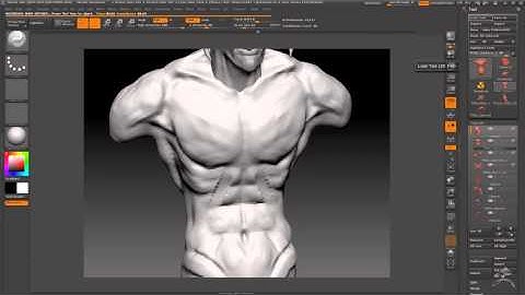 centaur part 3 torso