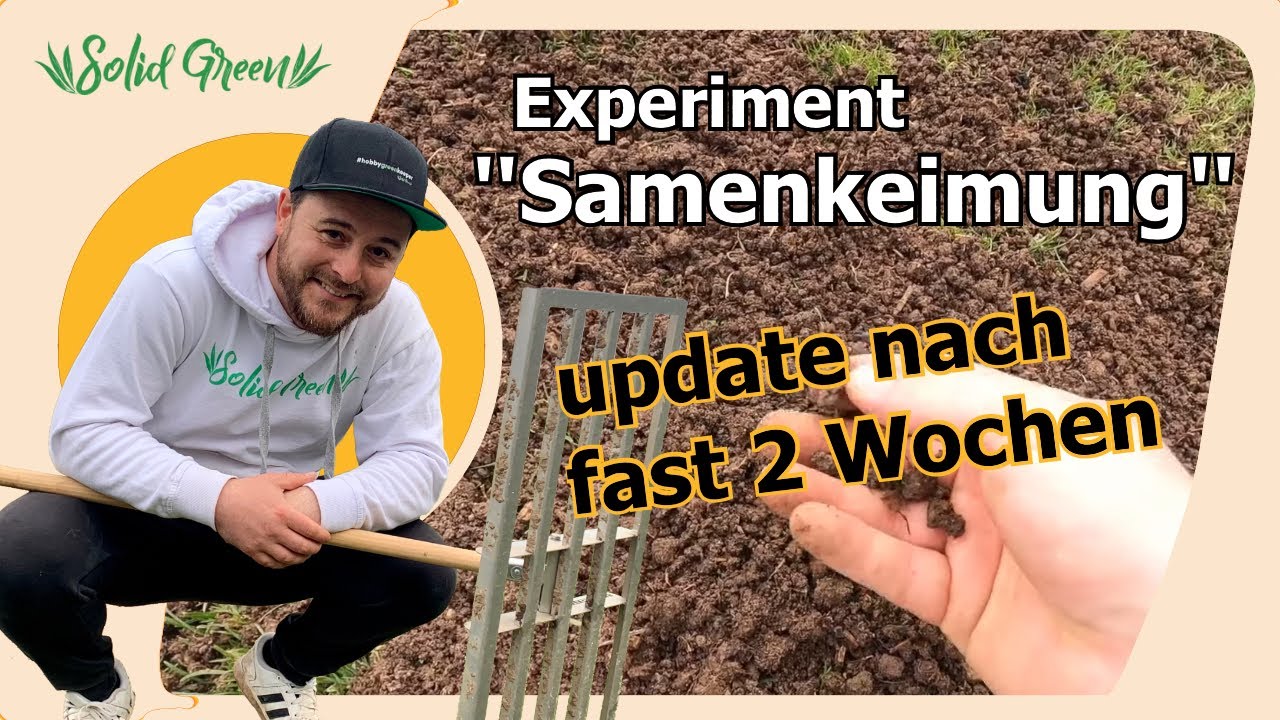 Topdressing/Saatexperiment Teil 2