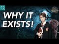 Why the Forbidden Forest ACTUALLY Exists! (Harry Potter Theory)
