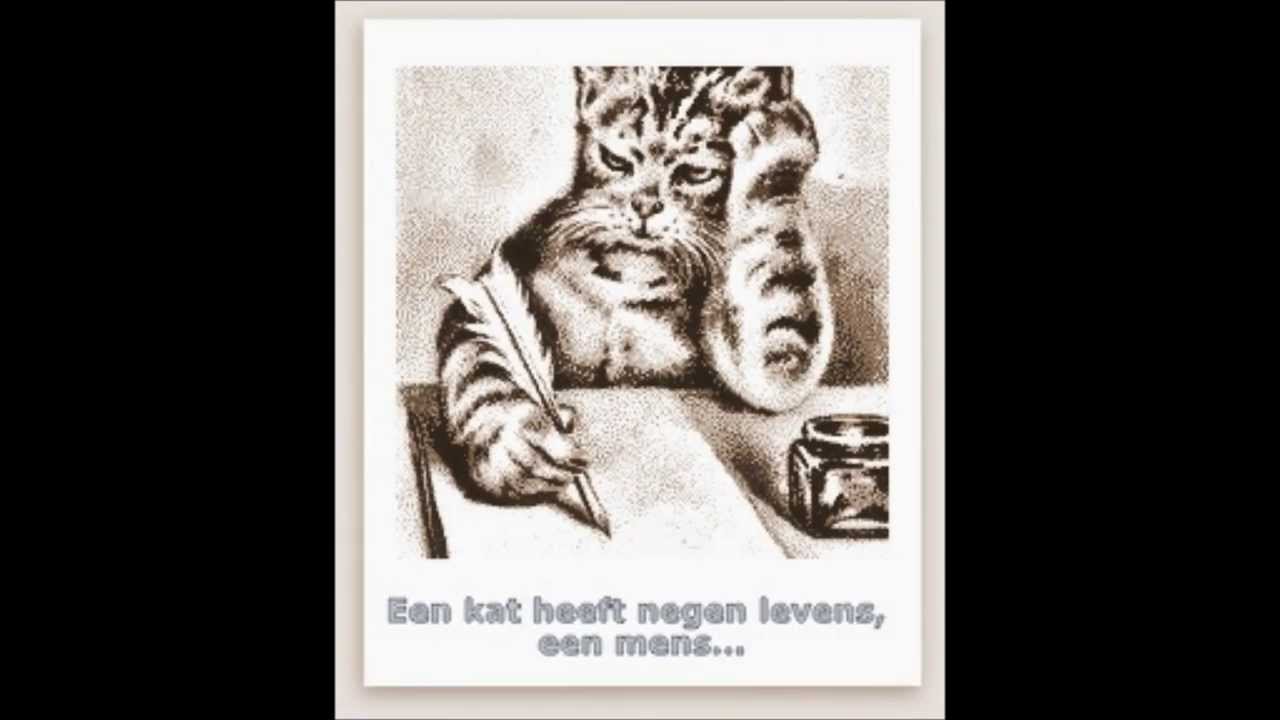 Boektrailer ebook Een kat heeft negen levens, een mens... Marianne