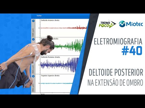 Deltoide posterior na extensão do Ombro - Eletromiografia #40