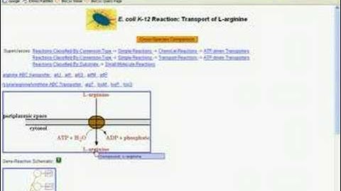 Introduction to BioCyc Part 2B
