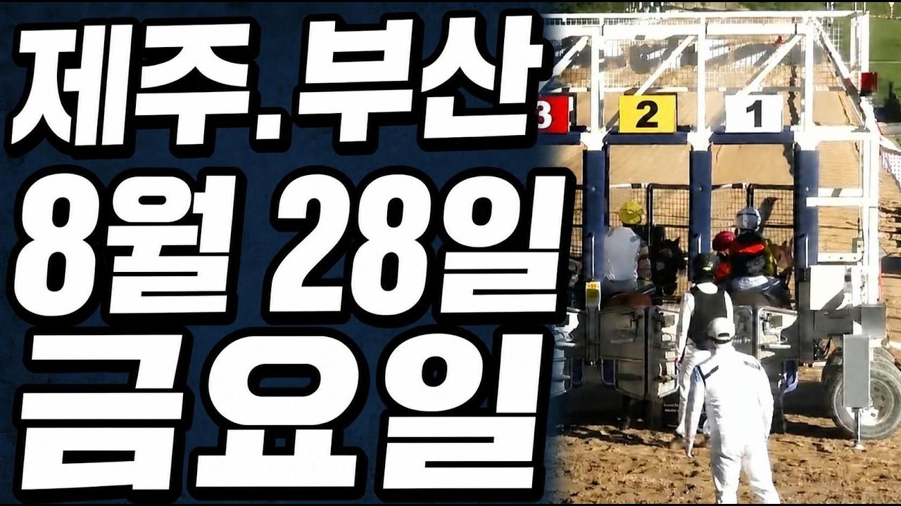[ 2026년 8월 28일 금요(제주.부산)경마~!]