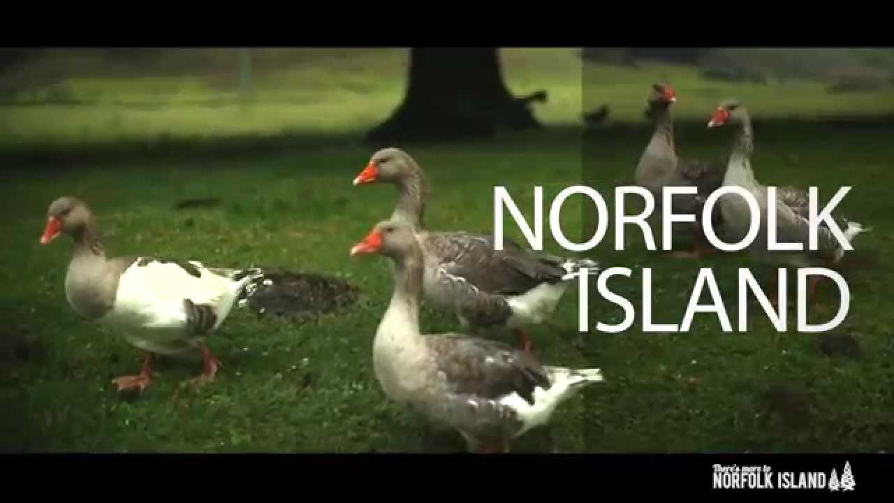 Norfolk Island Tourism 360° of Nature and Outdoors