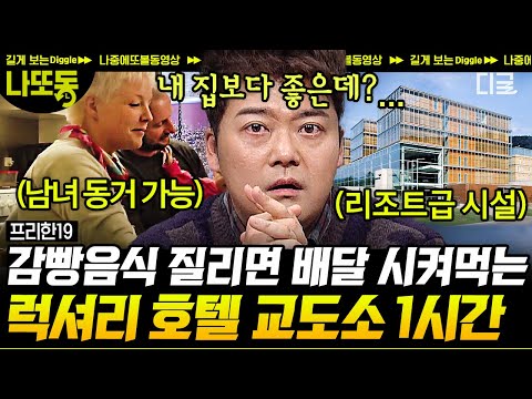 프리한19 1시간 배달과 외출이 가능한 5성급 교도소 처벌이 아닌 교정이 목적인 전세계 특별한 교도소 모음 Zip 