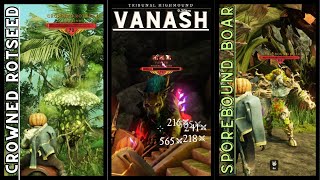 New World - Finisher Artifact Quest Quick Guide