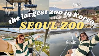 KOREA VLOG || A DAY AT SEOUL GRAND PARK + SKY LIFT EXPERIENCE! THE LARGEST ZOO IN KOREA 😱