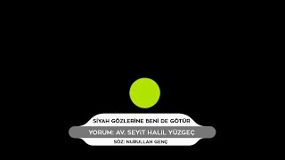 Siyah gözlerine beni de götür - Av. Seyit Halil YÜZGEÇ Resimi