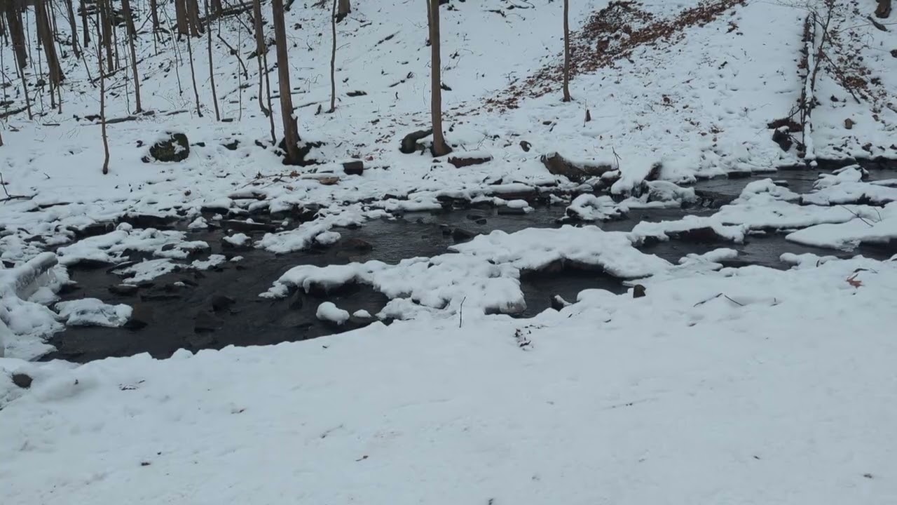 Sometimes wants ARE needs! ✨🫂✨