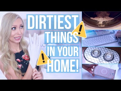 The Dirtiest Things in Your Home & How To Clean Them!