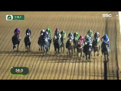 الجواد ماي فرانكل اسطبل الاحمر