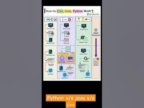 How Do python vs Java vs c++ #sorts #yt #informationtechnology #viral ...