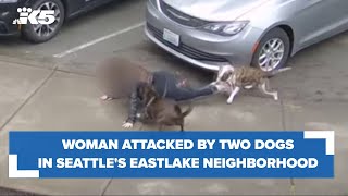 Woman injured after dog attack in Seattle's Eastlake neighborhood