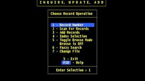 FilePro - Chapter 9 – Files/Processing/Design Get Input from User