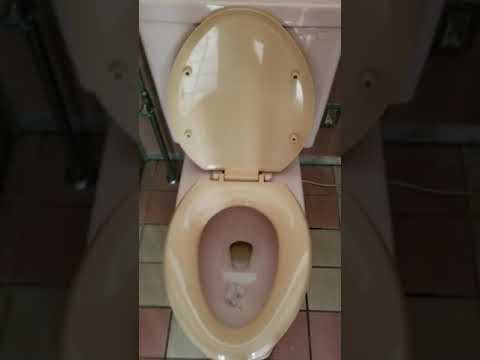 トイレでうんこ 洋式トイレ 内装 タイル 設備 Wc Water Closet 水流 Water Sounds Japanese Toilet Wc 設備 スポーツ公園2020年9月22日 Youtube