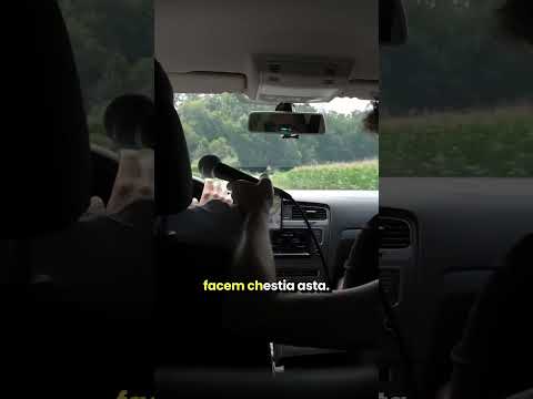 Ar merita sa incercam un standup in autobuz?