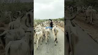 Ahro Te Munjho Thar Aa