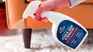 Top 5 Best Dog Odor Removers in 2023 | Buying Guide & Reviews