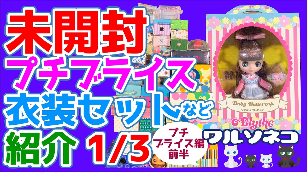 663 手持ちの箱入りプチブライス＆タカラ公式衣装セットを紹介その1 