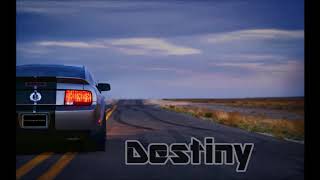 Devin Wild & Sub Zero Project - Destiny [FL - Studio REMIX]