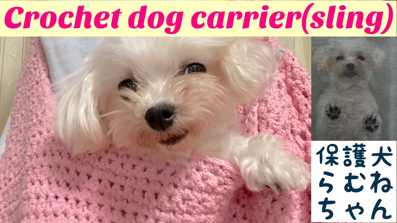 Crochet a sling for my dog🌈前半抱っこひも(後半)らむねちゃん2週間目 YouTube