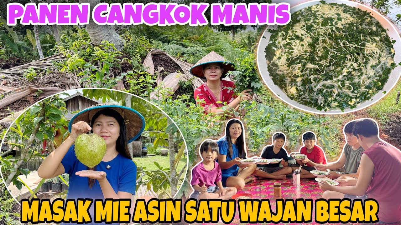 PETIK CANGKOK MANIS LANJUT MASUK MIE ASIN KUAH,DAN PANEN NANGKAK BELANDA, MAKAN BERSAMA
