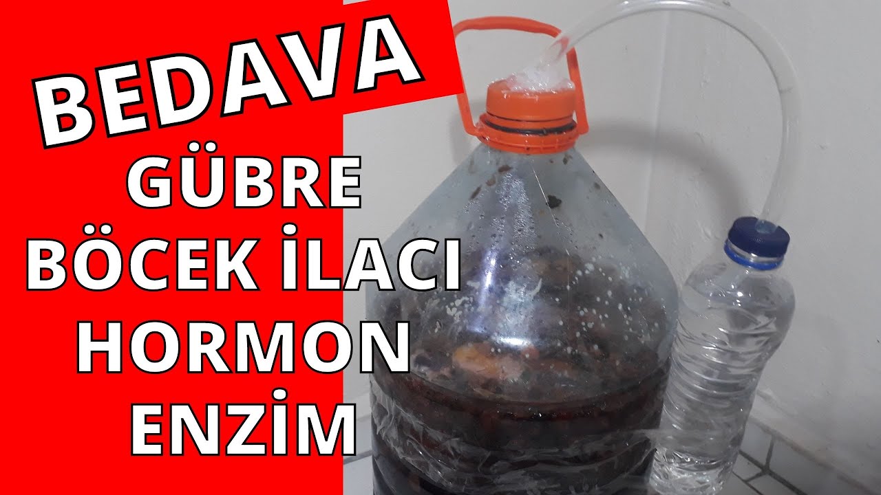 BEDAVA GÜBRE NASIL YAPILIR - BU KADAR KOLAY TARIMDA VERİM ALMAK, BÖCEKLERİ KONTROL ETMEK - ENZİM YAP