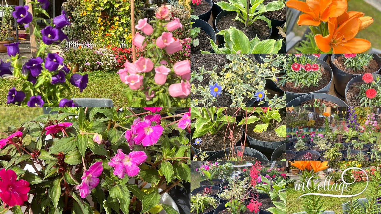 Bahçemden Haberler’den,Migros’tan,A101’den,Pazardan aldıklarım çiçeklerin dikimleri yapıldı