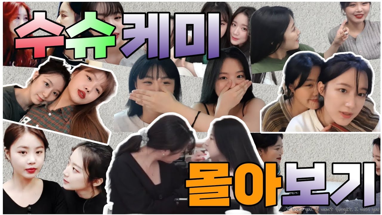 [몰아보기] 수슈 고마워