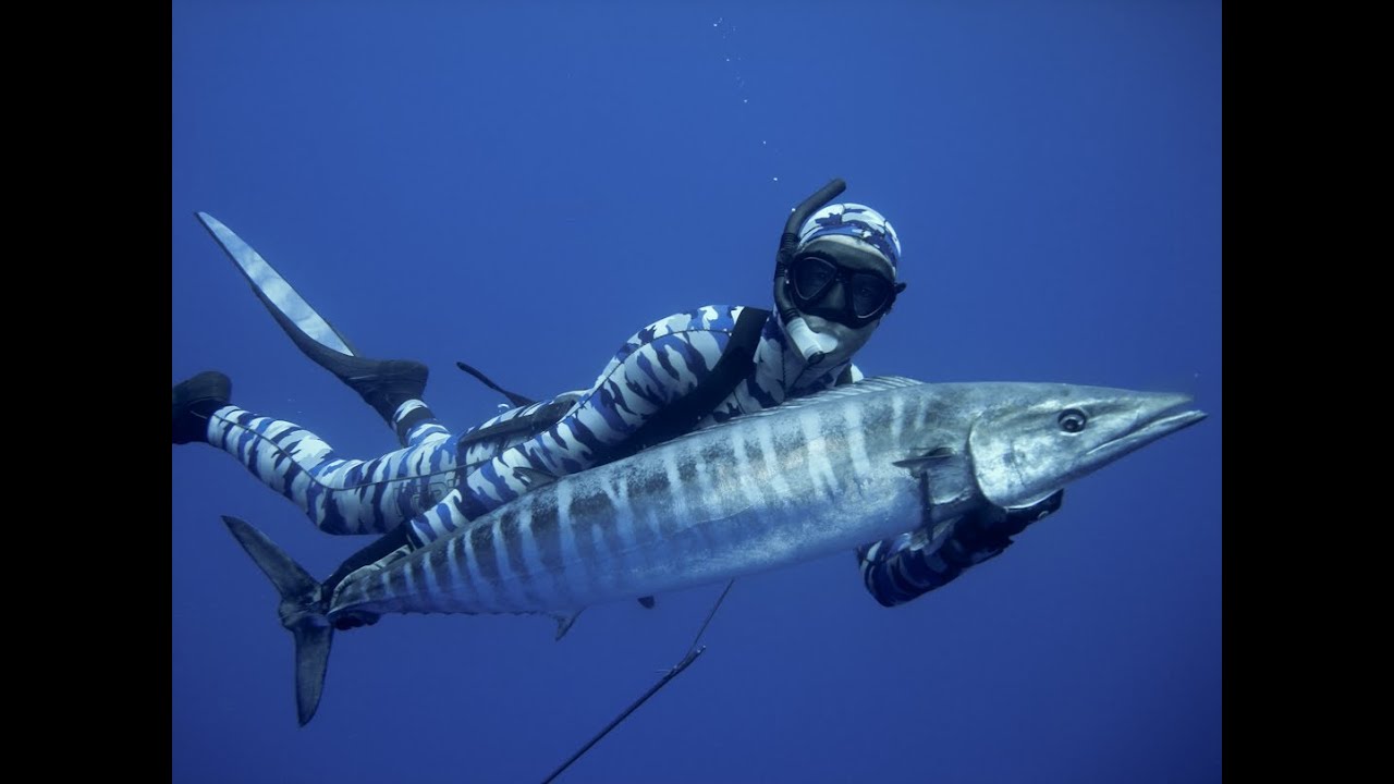 Spearfishing – Pesca Submarina