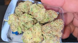 @ShopHelloMaryOfficial  |STRAWBERRY COUGH🍓⛽️💨|Premium Tier| SHM | Funky and Gassy!⛽️🦨🔥Thca Review!
