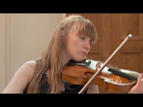 Brahms Sonata in F minor Op.120 No.1 (excerpts)