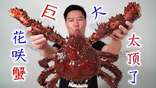 Is this the biggest Hanasaki crab on the whole network?