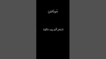 فسبحان الذي بيده ملكوت كل شيء | سورة يس
