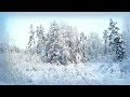 Russia 2018: By train through snowy forest in Moscow region