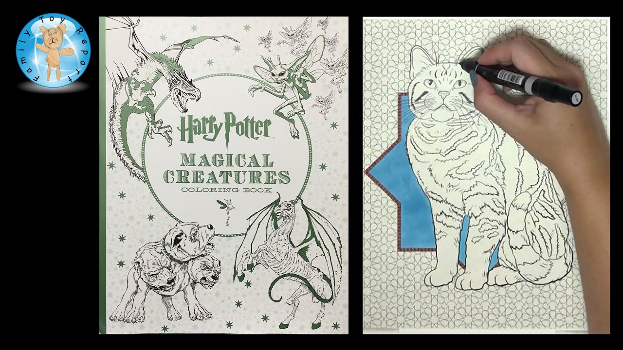 Download Harry Potter Magical Creatures Coloring Book Speed Color Family Toy Report Youtube
