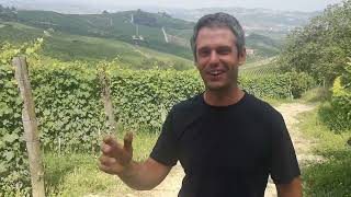 Cascina delle Rose, Piemonte: Slow Wine 2024