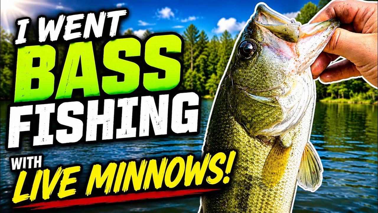 i went bass fishing with live bait