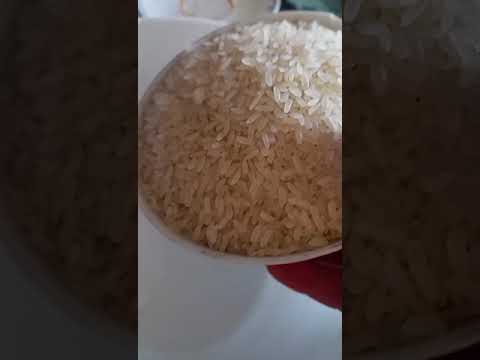 روز بالدجاج سهل وناجح 100 100 