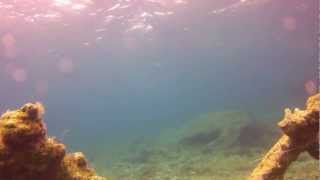 Diving the Roman Wall in Paphos Harbour