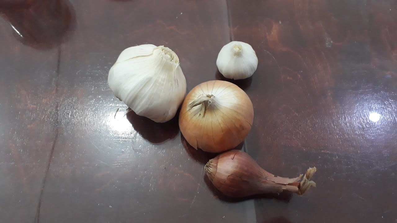 حل مشكلة صغر حجم رؤوس الثوم والبصل حلقة ٩١٢