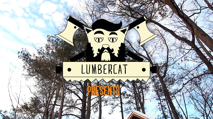 LUMBERCAT // King of the Everglades (Acoustic in a Wind River Tiny House)