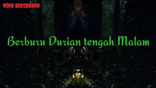 Cari Durian tengah Malam di Hutan Kalimantan