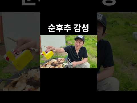 순후추감성 thumbnail