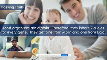 Inheritance of Traits