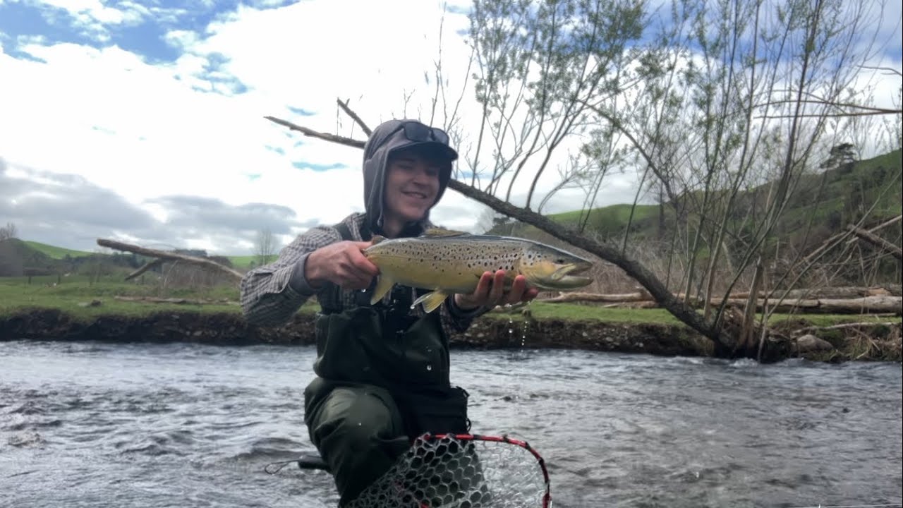 NZ Opening Day On The Local Rivers (Stunning Brown Trout)